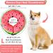 Inflatable Dog Cone Collar | Adjustable Recovery Collar for Dogs & Cats | Soft & Comfortable Dog Donut Collar | Prevents Vision Blockage | Large Size 12-18 Necks - Buy Online on GoSupps.com