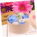 Housoutil 3 Boxes Preserved Flower Decoration Mothers Soap Flowers Gift Artificial Soap Flowers Soap Rose Flower Petals Rose Soap Flowers Christmas Decorations Fragrance 16.2X16.2X8.2CMx3pcs Bluex3pcs - Buy Online on GoSupps.com
