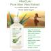 AloeCure Pure Organic Aloe Vera Juice - Natural Flavor, USDA Certified, Acid Buffer - 2x500ml Bottles, No Charcoal Filtering - Inner Leaf, Harvested and Processed for Maximum Nutrients - Buy Online on GoSupps.com