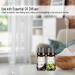 PHATOIL 10x10ML Fruity Essential Oils Set with Nice Box Premium Quality Scented Oil Fragrance Oil for Diffuser DIY Soap Candle Making - Buy Online on GoSupps.com