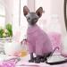 Bonaweite Sphynx Cat Sweaters - Turtleneck Kitten Clothes XS-2XL, PurpleRed - Buy Online on GoSupps.com