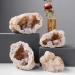 Room Decoration Natural Agate Geode Slice Quartz Cluster Crystal Points Minerals Specimen High Crystal Cuarzo Cluster/Druzy Natural Reiki Rock Used for Clarity and Purpose 400-500g (Size : 150-200g) - Buy Online on GoSupps.com