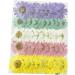 50pcs Natural Dried Daisy Flowers - Vacuum Packed for Decoration & Jewelry Making (5 Colors) - Buy Online on GoSupps.com