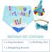 ADOGGYGO Large Blue Dog Birthday Bandana Scarf & Party Hat Set for Dogs | Cute Bow Tie Included - Buy Online on GoSupps.com