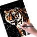 Rainbow Night View Scratch Art Kit - A4 Size, 8 Sheets Cards & 6 Tools - Animal Series (Unicorn/Flamingo/Cat/Deer/Lion/Tiger/Leopard/Wolf) - Perfect for Kids & Adults - Buy Online on GoSupps.com
