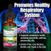 Nature's Answer Elecampane Root - Organic Alcohol Extract for Respiratory Support | 1 oz - Buy Online on GoSupps.com