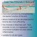 Delfanti Milano Retinol Pro-Advance Day Cream | Dead Sea Minerals & Vitamin E | Made in Italy - International Shipping - Buy Online on GoSupps.com
