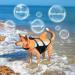 Buy Alagirls Adjustable Dog Life Jacket Vest - Pet Lifeguard for Swimming Sizes M (48-58cm) - Orange & Gray - Buy Online on GoSupps.com
