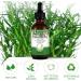 Organic Rosemary Oil Hair Growth - 60ml Natural Essence Pure Essential Oil for Hair Skin and Body Care - Stimulates Hair Growth Strengthens Hair Follicles Promotes Healthy Scalp - Buy Online on GoSupps.com