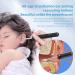Ear Wax Removal Tool with 1296P HD Ear Cleaner Camera - Otoscope for iOS & Android - Black-001 - Buy Online on GoSupps.com