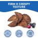 The Granville Island Pet Treatery|Dehydrated Protein Salmon Cranberry & Blueberry Treat for Dogs & Cats Slowly Dehydrated Raw Single Ingredient Maintain Nurtients Vitamins Healthy Oils 80g Salmon with Blueberry & Cranberry 80 g (Pack of 1) - Buy Online on GoSupps.com