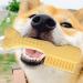 Skuda Kielzeugkamm: Interactive Dog Toy for Puppies - Tough Natural Chew Teeth Cleaning & Boredom Buster for Medium & Large Breeds (Yellow) - Buy Online on GoSupps.com