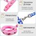 Adjustable Nylon Cat Leash Set - 2 Pieces with Lady Beetle Print & Soft Cat Dishes for Kittens Puppies & Rabbits - Pink & Blue - Buy Online on GoSupps.com