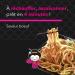 TANOSHI - Pre-cooked Ramen Beef Flavor - Instant Japanese Noodles - For 2 People - 360g - Buy Online on GoSupps.com
