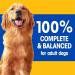 PEDIGREE CHOPPED Adult Wet Dog Food Ground Dinner Filet Mignon 375g Can (12 Pack) Filet Mignon 187.5 g (Pack of 24) - Buy Online on GoSupps.com