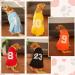Buy Medium Orange Dog Shirt - Breathable Summer Vest for All Sizes - Stylish Tank Top for Pets - Buy Online on GoSupps.com