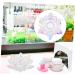 Healeved Nail Art Crystal Cup Glass Punch Hole - Buy Online on GoSupps.com