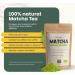 Matcha 90 Grammes - Organic - Without Bamboo Whisk & Whisk - Culunary Tea Powder - Starter set - Latte - Broom - Japan - Powder - Tea - Th vert japonais - Naturel - Biologique - Buy Online on GoSupps.com