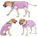 Heywean Dog Recovery Suit - Post-Op Wound Protection for Dogs - Professional Surgical Shirt - Pink (Size M) - Buy Online on GoSupps.com