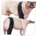 Housoutil Knee Pads Puppy Dog Nose Balm Dogs Knee Leg for Dog Protector Pet Four-Legged Clothing S As Shown - Buy Online on GoSupps.com