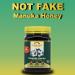 Nelson Honey Manuka Honey 30+ 500g - Pure New Zealand Honey - Buy Online on GoSupps.com