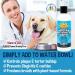Bodhi Dog Peppermint Fresh Breath Dental Water Additive 17oz | For Dogs & Pets | Tartar & Plaque Remover | Healthy Gums & Teeth | Oral Care Cleaner - Buy Online on GoSupps.com