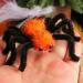 Halloween Spider Hair Clips - Horror Barrettes - Halloween Fancy Dress Accessory - Spider Dress Up Accessories Orange - Buy Online on GoSupps.com