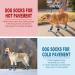 Expawlorian Non-Slip Dog Socks - Soft Breathable Paw Protection for All Dogs | Adjustable Straps & Traction Control | Blue XS (4 Count) - Buy Online on GoSupps.com