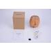CCKeyin 120ml Portable Essential Oil Diffuser - Ultrasonic Humidifier with 7 Color-Changing LED Lights | Waterless Aromatherapy for Home & Travel - Buy Online on GoSupps.com
