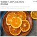 VILLFUL 1 Dehydrated Oranges Dried Oranges Dried Darancia Slices Dried Lemon Slices Fruit Model Decorative Lemon Slices Department of Moors Gift Pack Dried Fruit - Buy Online on GoSupps.com