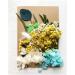 Real Dried Pressed Leaf Flowers Plant Herbarium for Craft Jewelry Making Multiple Colorful Pressed Flowers Daisies for Craft Resin Jewelry Making Art Craft DIY and Soap Candle Scrapbooking (Blue)