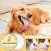 Rasoli Itching Cream for Dogs - Moisture Balm for Puppies & Dogs | 30g Healing Relief & Hydration - Buy Online on GoSupps.com