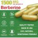 Berberine Supplement 1500mg - Premium Berberine HCl 97% Purity Plus Pure Ceylon Cinnamon, High Potency Berberine for Men Women Supports Immune System Non-GMO - Buy Online on GoSupps.com