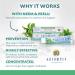 Auromere Ayurvedic Herbal Toothpaste - Fresh Mint 4.16 oz | Natural Teeth Whitening & Fresh Breath - Buy Online on GoSupps.com