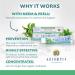 Auromere Ayurvedic Herbal Toothpaste - Vegan Natural & Non-GMO Fluoride-Free Gluten-Free with Neem & Peelu - Fresh Mint (4.16 oz - Buy Online on GoSupps.com