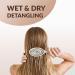 Biodegradable No Pull Hair Brush for Thick Curly/Straight Hair - Wet & Dry Detangling, Massaging Bristles - Pink - Buy Online on GoSupps.com