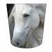 Amputee Sock "Horse Headshot V2" 3PLY Residual Wound Over Shrinker Sock One Size