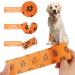Self-Adhesive Bandage for Pets - 6 Rolls 5cm x 4.5m | Breathable Elastic Wraps for Dogs & Cats - Protects Wrists & Ankles - Buy Online on GoSupps.com