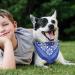 Buy KQNM 4PCs Dog Half Bandana Set - Triangle Neckerchief Collars for Small & Medium Pets | Durable & Stylish | 4 Colors Available - Buy Online on GoSupps.com