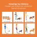 Floxic Premium Kleine Dog - 3M Adjustable Hundeleine for Small & Medium Dogs | Stylish & Robust in Gray or Orange | Durable 12mm Touline - Buy Online on GoSupps.com