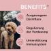 Puury Digestion Snacks for Dogs | Probiotics for Gut Health Itch Relief & Healthy Flora | 90 Treats (270g) - 3 Month Supply - Buy Online on GoSupps.com