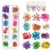 12 Colors Dried Flowers for Nail Art  KINGMAS 1 Box Dry Flowers Mini Real Natural Flowers Nail Art Supplies 3D Applique Nail Decoration Sticker Decor (A) A (12 Colors/Box)