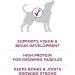Purina ONE +Plus Dry Puppy Food with Lamb - 6 kg Bag 6 kg (Pack of 1) Dog Food - Buy Online on GoSupps.com