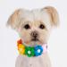 Pawhits Rainbow Hairball Flower Pet Necklace - 2pcs Velcro Fastener for Dogs & Cats | Stylish Costume Accessories (XS) - Buy Online on GoSupps.com