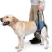 Dotoner Dog Lifting Harnesses & Support Loop for Injured Dogs | Soft Dog Food Dishes for Hind Legs - Small Medium Large (Blue S) | Shop Now! - Buy Online on GoSupps.com