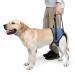 Dotoner dog lifting harness dog groomers for the hind legs soft dog support loop for injured handicapped small medium and large dogs dog crossing for the hind legs (blue m) m (1 Pack)