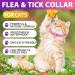 Flea & Tick Collar for Cats - Waterproof Adjustable 24-Month Protection | International Shipping - Buy Online on GoSupps.com