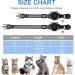 Agoumlux Reflective Cat Collar with Bell - Adjustable Breakaway Neck Band for Young Cats | XS Black (17.5-23 cm) - International Shipping Available - Buy Online on GoSupps.com