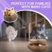 PetHse Magic Organ Cat Scratching Board - Interactive Scratch Pad Toy with Toy Bell Ball - Buy Online on GoSupps.com