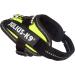 Shop IDC Powerharness 3XS/Baby 1 - UV Neon Green | International Shipping Available - Buy Online on GoSupps.com